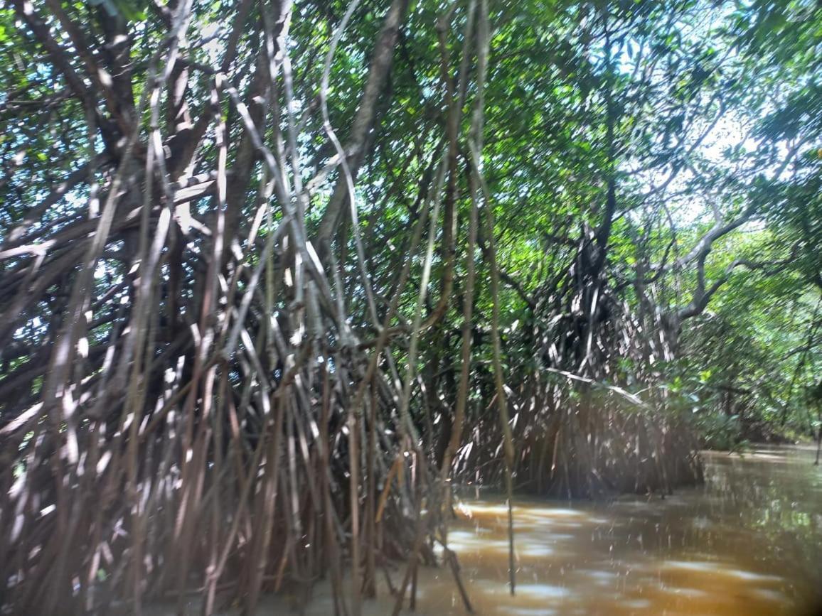Senu Lagoon Villa Tangalle Exteriör bild